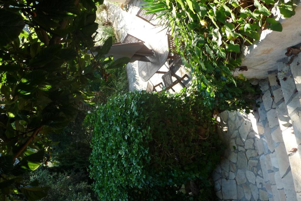 ניס Castel Enchante מראה חיצוני תמונה